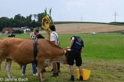 Dateiname=20250727_r06_035_DSC_6185.jpg
Dateigröße=528KB
Abmessungen: 1000x667
hinzugefügt am: 28. Juli 2025 20250727_r06_035_DSC_6185.jpg