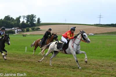 20250727_r10_010_DSC_6474.jpg