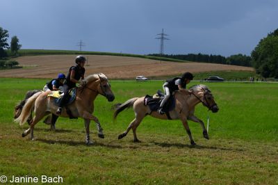20250727_r11_006_DSC_6527.jpg