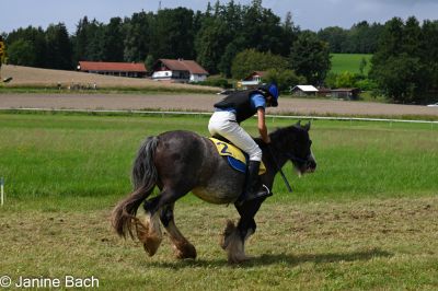 20250727_r11_031_DSC_6552.jpg