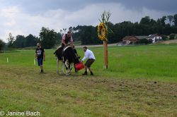 20250727_r12_030_DSC_6595.jpg