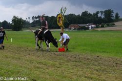 20250727_r12_035_DSC_6600.jpg