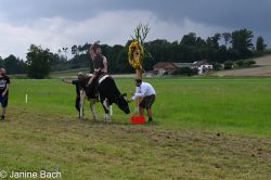 20250727_r12_036_DSC_6601.jpg