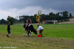20250727_r12_039_DSC_6604.jpg