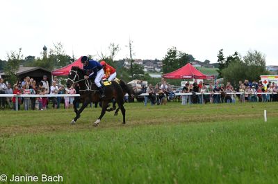 20250727_r13_054_DSC_6681.jpg