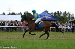 20250727_r13_047_DSC_6674.jpg