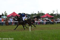 20250727_r13_102_DSC_6729.jpg