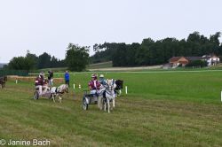 20250727_r14_007_DSC_6842.jpg