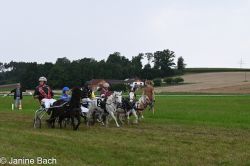 20250727_r14_030_DSC_6865.jpg