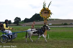 20250727_r14_044_DSC_6879.jpg