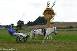 Dateiname=20250727_r14_084_DSC_6920.jpg
Dateigröße=468KB
Abmessungen: 1000x667
hinzugefügt am: 28. Juli 2025 20250727_r14_084_DSC_6920.jpg