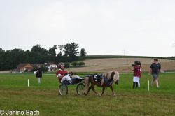 20250727_r14_110_DSC_6947.jpg