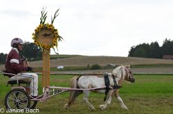 20250727_r14_130_DSC_6967.jpg