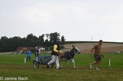 20250727_r14_136_DSC_6973.jpg