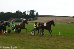 20250727_r15_041_DSC_7072.jpg
