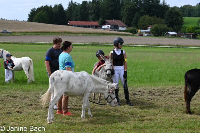 20250727_r17_047_DSC_7294.jpg