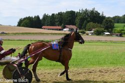 Dateiname=20250727_r18_010_DSC_7317.jpg
Dateigröße=652KB
Abmessungen: 1000x667
hinzugefügt am: 28. Juli 2025 20250727_r18_010_DSC_7317.jpg