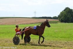 20250727_r18_027_DSC_7335.jpg