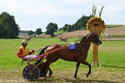 20250727_r18_031_DSC_7339.jpg