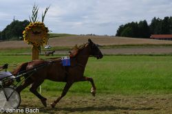 20250727_r18_039_DSC_7347.jpg