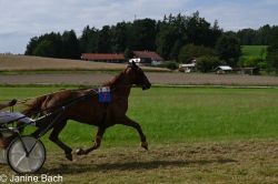 Dateiname=20250727_r18_040_DSC_7348.jpg
Dateigröße=590KB
Abmessungen: 1000x667
hinzugefügt am: 28. Juli 2025 20250727_r18_040_DSC_7348.jpg