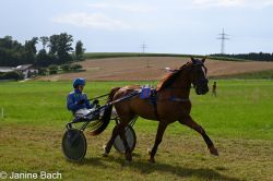 Dateiname=20250727_r18_041_DSC_7349.jpg
Dateigröße=597KB
Abmessungen: 1000x667
hinzugefügt am: 28. Juli 2025 20250727_r18_041_DSC_7349.jpg