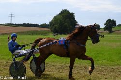 Dateiname=20250727_r18_043_DSC_7351.jpg
Dateigröße=578KB
Abmessungen: 1000x667
hinzugefügt am: 28. Juli 2025 20250727_r18_043_DSC_7351.jpg