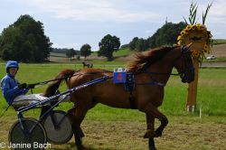 Dateiname=20250727_r18_044_DSC_7352.jpg
Dateigröße=599KB
Abmessungen: 1000x667
hinzugefügt am: 28. Juli 2025 20250727_r18_044_DSC_7352.jpg