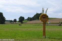 Dateiname=20250727_r18_048_DSC_7356.jpg
Dateigröße=567KB
Abmessungen: 1000x667
hinzugefügt am: 28. Juli 2025 20250727_r18_048_DSC_7356.jpg