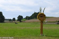 Dateiname=20250727_r18_049_DSC_7357.jpg
Dateigröße=566KB
Abmessungen: 1000x667
hinzugefügt am: 28. Juli 2025 20250727_r18_049_DSC_7357.jpg