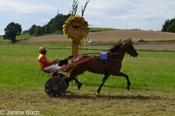 Dateiname=20250727_r18_055_DSC_7364.jpg
Dateigröße=646KB
Abmessungen: 1000x667
hinzugefügt am: 28. Juli 2025 20250727_r18_055_DSC_7364.jpg