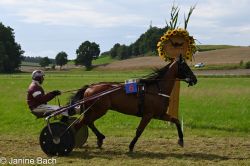 20250727_r18_059_DSC_7368.jpg