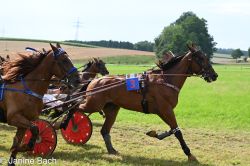 20250727_r18_070_DSC_7385.jpg