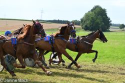 20250727_r18_079_DSC_7395.jpg