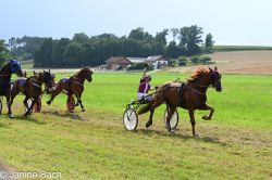 Dateiname=20250727_r18_093_DSC_7409.jpg
Dateigröße=687KB
Abmessungen: 1000x667
hinzugefügt am: 28. Juli 2025 20250727_r18_093_DSC_7409.jpg