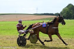 20250727_r18_100_DSC_7417.jpg