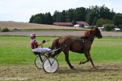 Dateiname=20250727_r18_115_DSC_7432.jpg
Dateigröße=644KB
Abmessungen: 1000x667
hinzugefügt am: 28. Juli 2025 20250727_r18_115_DSC_7432.jpg