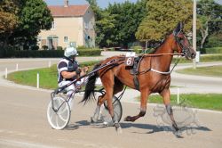 Dateiname=20250810_ja_032_IMG_0063.jpg
Dateigröße=704KB
Abmessungen: 1000x667
hinzugefügt am: 16. August 2025 20250810_ja_032_IMG_0063.jpg