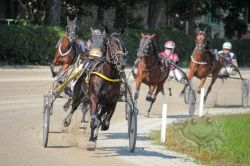 Dateiname=20250810_ja_034_IMG_0071.jpg
Dateigröße=657KB
Abmessungen: 1000x667
hinzugefügt am: 16. August 2025 20250810_ja_034_IMG_0071.jpg