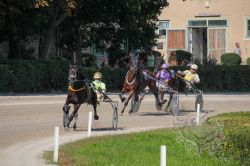 Dateiname=20250810_ja_037_IMG_0085.jpg
Dateigröße=666KB
Abmessungen: 1000x667
hinzugefügt am: 16. August 2025 20250810_ja_037_IMG_0085.jpg