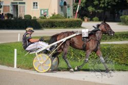 Dateiname=20250810_ja_045_IMG_0114.jpg
Dateigröße=616KB
Abmessungen: 1000x667
hinzugefügt am: 16. August 2025 20250810_ja_045_IMG_0114.jpg