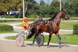 Dateiname=20250810_ja_046_IMG_0003.jpg
Dateigröße=812KB
Abmessungen: 1000x667
hinzugefügt am: 16. August 2025 20250810_ja_046_IMG_0003.jpg