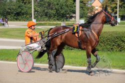 Dateiname=20250810_ja_047_IMG_0005.jpg
Dateigröße=732KB
Abmessungen: 1000x667
hinzugefügt am: 16. August 2025 20250810_ja_047_IMG_0005.jpg