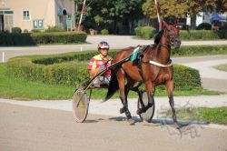 Dateiname=20250810_ja_049_IMG_0020.jpg
Dateigröße=690KB
Abmessungen: 1000x667
hinzugefügt am: 16. August 2025 20250810_ja_049_IMG_0020.jpg