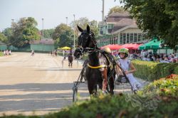 Dateiname=20250810_ja_051_IMG_0026.jpg
Dateigröße=656KB
Abmessungen: 1000x667
hinzugefügt am: 16. August 2025 20250810_ja_051_IMG_0026.jpg