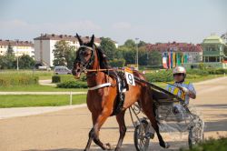 Dateiname=20250810_ja_053_IMG_0037.jpg
Dateigröße=608KB
Abmessungen: 1000x667
hinzugefügt am: 16. August 2025 20250810_ja_053_IMG_0037.jpg