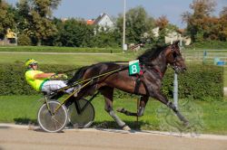 Dateiname=20250810_ja_055_IMG_0044.jpg
Dateigröße=692KB
Abmessungen: 1000x667
hinzugefügt am: 16. August 2025 20250810_ja_055_IMG_0044.jpg