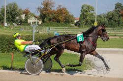 Dateiname=20250810_ja_056_IMG_0045.jpg
Dateigröße=638KB
Abmessungen: 1000x667
hinzugefügt am: 16. August 2025 20250810_ja_056_IMG_0045.jpg