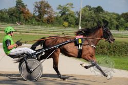 Dateiname=20250810_ja_059_IMG_0063.jpg
Dateigröße=583KB
Abmessungen: 1000x667
hinzugefügt am: 16. August 2025 20250810_ja_059_IMG_0063.jpg