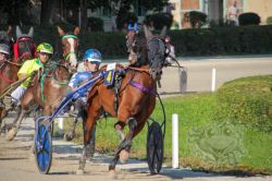 Dateiname=20250810_ja_075_IMG_0127.jpg
Dateigröße=617KB
Abmessungen: 1000x667
hinzugefügt am: 16. August 2025 20250810_ja_075_IMG_0127.jpg